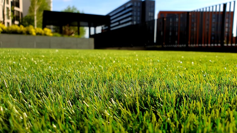 Professional Landscaping Services UAE